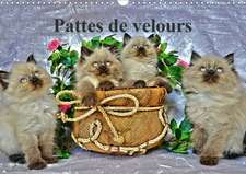 Pattes de velours (Calendrier mural 2020 DIN A3 horizontal)