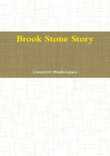 Brook Stone Story