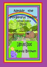 Neddy the Forgetful Teddy