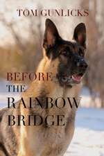 Before the Rainbow Bridge