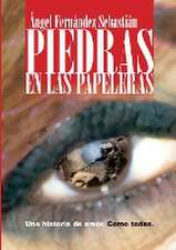 Piedras En Las Papeleras