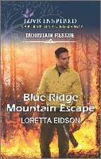 Blue Ridge Mountain Escape