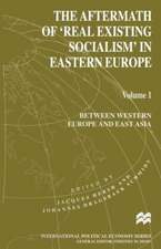 The Aftermath of ‘Real Existing Socialism’ in Eastern Europe: Volume 1: Between Western Europe and East Asia