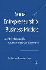 Social Entrepreneurship Business Models: Incentive Strategies to Catalyze Public Goods Provision