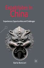 Expatriates in China: Experiences, Opportunities and Challenges