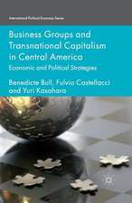 Business Groups and Transnational Capitalism in Central America: Economic and Political Strategies