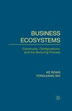 Business Ecosystems: Constructs, Configurations, and the Nurturing Process