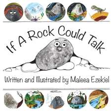 If a Rock Could Talk