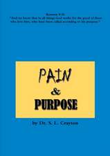 Pain & Purpose