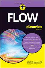 Flow for Dummies