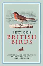 Bewick's British Birds