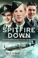 Spitfire Down