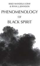 Phenomenology of Black Spirit