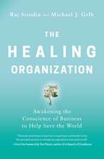 The Healing Organization