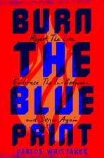 Burn the Blueprint: Reject the Lies, Embrace the In-Between, and Begin Again