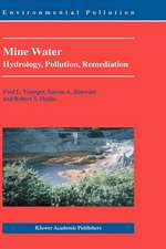 Mine Water: Hydrology, Pollution, Remediation