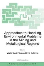 Approaches to Handling Environmental Problems in the Mining and Metallurgical Regions