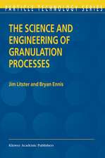 The Science and Engineering of Granulation Processes