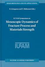 IUTAM Symposium on Mesoscopic Dynamics of Fracture Process and Materials Strength: Proceeding of the IUTAM Symposium held in Osaka, Japan, 6–11 July 2003