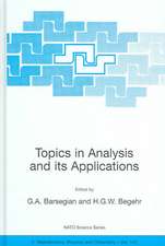 Topics in Analysis and its Applications