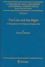 A Treatise of Legal Philosophy and General Jurisprudence: Volume 1:The Law and The Right, Volume 2: Foundations of Law, Volume 3: Legal Institutions and the Sources of Law, Volume 4: Scienta Juris, Legal Doctrine as Knowledge of Law and as a Source of Law, Volume 5: Legal Reasoning, A Cognitive Approach to the Law