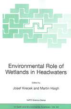 Environmental Role of Wetlands in Headwaters