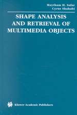 Shape Analysis and Retrieval of Multimedia Objects