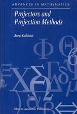 Projectors and Projection Methods