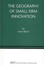 The Geography of Small Firm Innovation