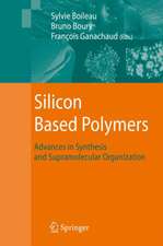 Silicon Based Polymers: Advances in Synthesis and Supramolecular Organization