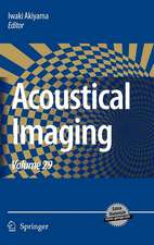 Acoustical Imaging: Volume 29