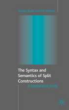 The Syntax and Semantics of Split Constructions: A Comparative Study