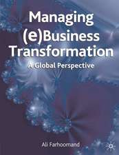 Managing (e)Business Transformation: A Global Perspective