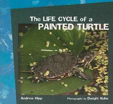 The Life Cycle of a Painted Turtle