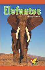 Elefantes