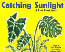 Catching Sunlight: A Book about Leaves