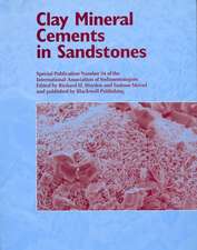 Clay Mineral Cements in Sandstones – Special Publication 34 of the IAS