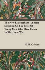 The New Elizebethans - A First Selection of the Lives of Young Men Who Have Fallen in the Great War: A Study in Cultural Orientation