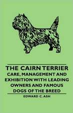 The Cairn Terrier