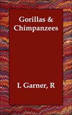 Gorillas & Chimpanzees