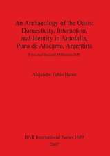 Archaeology of the Oasis: Domesticity, Interaction and Identity in Antofalla, Puna de Atacama, Argentina