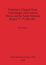 Prehistoric Chipped Stone Assemblages from Eastern Thrace and the South Marmara Region