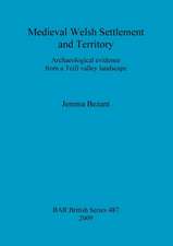 Medieval Welsh Settlement and Territory: Archaeological Evidence from a Teifi Valley Landscape