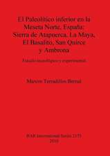 El Paleolitico Inferior En La Meseta Norte, Espana: Sierra de Atapuerca, La Maya, El Basalito, San Quirce y Ambrona