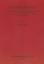 Norse in Newfoundland: A Critical Examination of Archaeological Research at the Norse Site at L'Anse Aux Meadows, Newfoundland