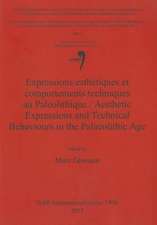 Expressions Esthetiques Et Comportements Techniques Au Paleolithique / Aesthetic Expressions and Technical Behaviours in the Palaeolithic Age: A Pilot Study Based on Modern Excavations