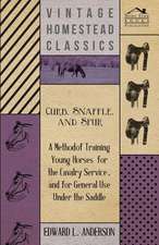 Curb, Snaffle, and Spur - A Method of Training Young Horses for the Cavalry Service, and for General Use Under the Saddle: Infant Salvation - The Baptismal Font - The Communion Table