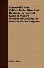 Commercial Rose Culture, Under Glass and Outdoors: A Practical Guide to Modern Methods of Growing the Rose for Market Purposes