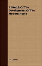 A Sketch of the Development of the Modern Horse: A Winter Campaign on the Plains