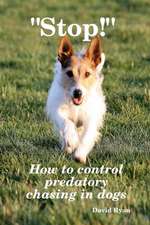 Stop! How to Control Predatory Chasing in Dogs